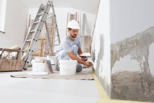 Best Biohazard Mold Removal  in Mccook, NE