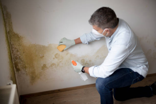 Best Post-Remediation Verification Testing  in Mccook, NE